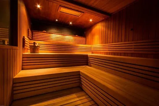 Couple's Sauna Two person indoor sauna benefits